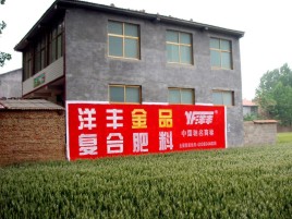 思礼如何让墙体广告展现最大化效果