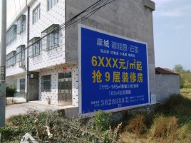思礼墙体广告质量分析
