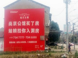 思礼墙体广告在乡镇、农村市场的媒体优势