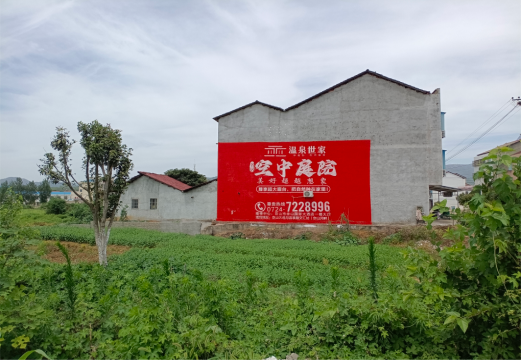 思礼做墙体广告的意义