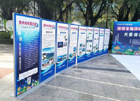 思礼KT板的种类和知识。